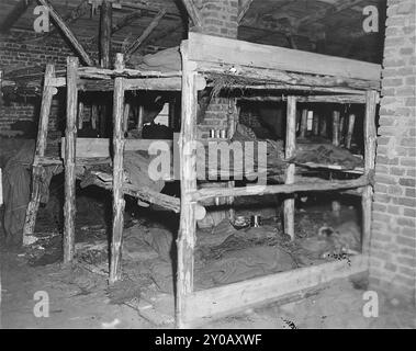 Couchettes sordides dans le camp de concentration de Wöbbelin. Les SS ont ouvert Wöbbelin en février 1945 pour héberger des prisonniers des camps de concentration qu'ils avaient évacués d'autres camps pour empêcher leur libération par les Alliés. Le camp a été libéré le 2 mai 1945. La photo est datée du 5 mai 1945, trois jours après la libération. Banque D'Images