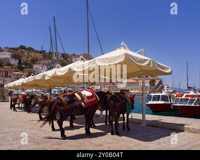 Mules de transport au port de l'île d'Hydra, Golfe Saronique, Grèce Banque D'Images