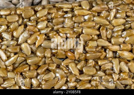 Graines de tournesol frites à la mélasse sucrée de betterave à sucre, délicieux kozinak oriental à base de graines de tournesol, mélasse et miel Banque D'Images