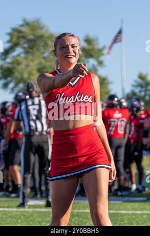 DeKalb, États-Unis. 31 août 2024. Cheerleader divertit la foule lors de l'ouverture de la saison 2024 de la NCAA pour les Huskies de l'Université Northern Illinois vs Western Illinois University Leathernecks au Huskie Stadium le 31 2024 août score final : NIU - 54, WIU 15 (photo de Raj Chavda/Sipa USA) crédit : Sipa USA/Alamy Live News Banque D'Images