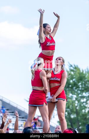 DeKalb, États-Unis. 31 août 2024. Les cheerleaders divertissent la foule lors de l'ouverture de la saison 2024 de la NCAA pour les Huskies de l'Université Northern Illinois vs Western Illinois University Leathernecks au Huskie Stadium le 31 2024 août score final : NIU - 54, WIU 15 (photo de Raj Chavda/Sipa USA) crédit : Sipa USA/Alamy Live News Banque D'Images