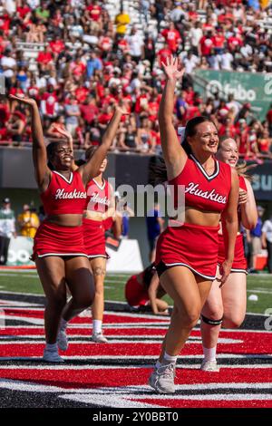 DeKalb, États-Unis. 31 août 2024. Cheerleaders divertissent la couronne lors de l'ouverture de la saison 2024 de la NCAA pour les Huskies de l'Université Northern Illinois vs Western Illinois University Leathernecks au Huskie Stadium le 31 2024 août score final : NIU - 54, WIU 15 (photo de Raj Chavda/Sipa USA) crédit : Sipa USA/Alamy Live News Banque D'Images