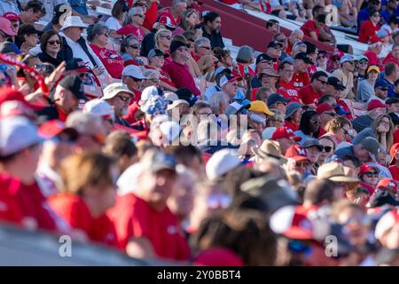 DeKalb, États-Unis. 31 août 2024. Les fans regardent pendant l'ouverture de la saison 2024 de la NCAA pour les Huskies de l'Université Northern Illinois vs Western Illinois University Leathernecks au Huskie Stadium le 31 2024 août score final : NIU - 54, WIU 15 (photo par Raj Chavda/Sipa USA) crédit : Sipa USA/Alamy Live News Banque D'Images