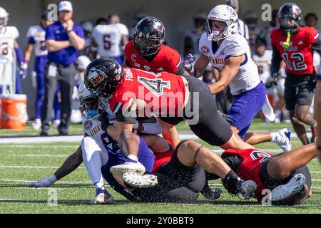 DeKalb, États-Unis. 31 août 2024. Christian Fuhrman (#44) lors de l'ouverture de la saison 2024 de la NCAA pour les Huskies de l'Université Northern Illinois vs Western Illinois University Leathernecks au Huskie Stadium le 31 2024 août score final : NIU - 54, WIU 15 (photo de Raj Chavda/Sipa USA) crédit : Sipa USA/Alamy Live News Banque D'Images