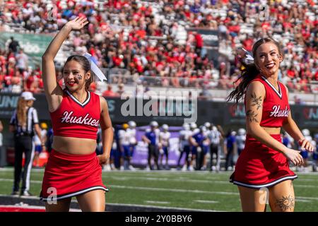 DeKalb, États-Unis. 31 août 2024. Les cheerleaders divertissent la foule lors de l'ouverture de la saison 2024 de la NCAA pour les Huskies de l'Université Northern Illinois vs Western Illinois University Leathernecks au Huskie Stadium le 31 2024 août score final : NIU - 54, WIU 15 (photo de Raj Chavda/Sipa USA) crédit : Sipa USA/Alamy Live News Banque D'Images