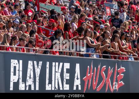 DeKalb, États-Unis. 31 août 2024. Les fans attendent le coup d'envoi pour l'ouverture de la saison 2024 de la NCAA pour les Huskies de l'Université Northern Illinois vs Western Illinois University Leathernecks au Huskie Stadium le 31 2024 août Note finale : NIU - 54, WIU 15 (photo de Raj Chavda/Sipa USA) crédit : Sipa USA/Alamy Live News Banque D'Images