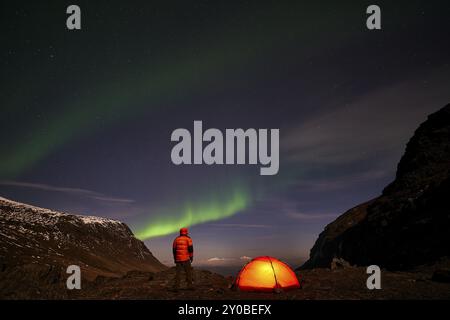 Homme regardant les aurores boréales (Aurora borealis), Norrbotten, Laponie, Suède, octobre 2014, Europe Banque D'Images