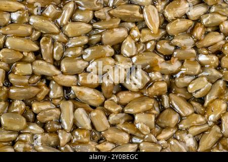 Graines de tournesol frites à la mélasse sucrée de betterave à sucre, délicieux kozinak oriental à base de graines de tournesol, mélasse et miel Banque D'Images