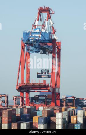 Grue à portique en fonctionnement. Grue à portique en fonctionnement Banque D'Images