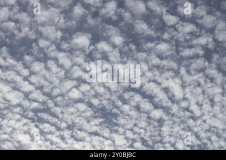 Cirrocumulus nuages blancs dans un ciel bleu, Angleterre, Royaume-Uni, Europe Banque D'Images