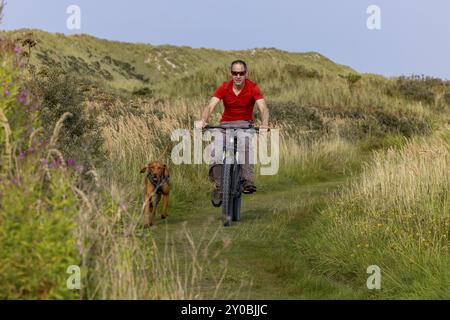 Vététiste avec son chien de traîneau sur un seul sentier dans les dunes, chien Vizsla sur un vélo, île d'Ameland, Frise, pays-Bas Banque D'Images