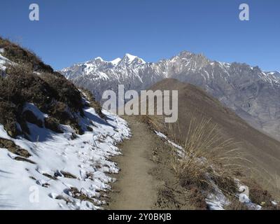 Sentier pédestre de Muktinath à Jomosom, Népal, Asie Banque D'Images