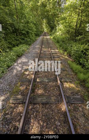 Regarder en bas d'une ancienne ligne de chemin de fer abandonnés à travers une forêt Banque D'Images