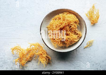 Mousse de mer irlandaise, Chondrus Crispus, algues crues biologiques saines, grenaille à plat en hauteur Banque D'Images