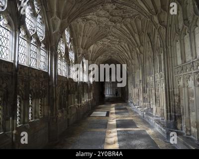 Les célèbres cloîtres de la cathédrale de Gloucester en Angleterre, Grande-Bretagne Banque D'Images