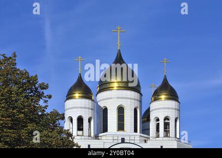 Dômes de la cathédrale du Christ Sauveur. Kaliningrad (anciennement Koenigsberg), Russie, Europe Banque D'Images