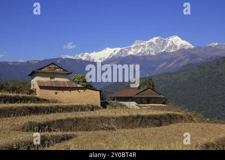 Scène rurale dans la zone de conservation de l'Annapurna, Népal. Chaîne d'Annapurna enneigée. Architecture traditionnelle Banque D'Images