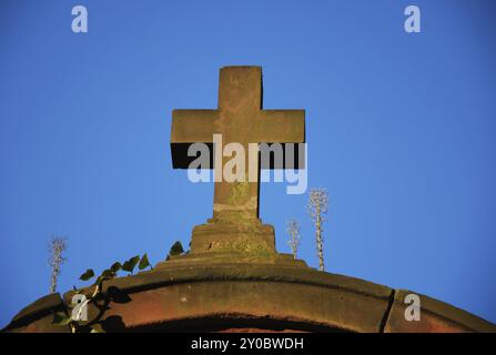 Croix de grès rouge sur une tombe avec des plantes poussant dessus Banque D'Images