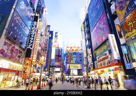 Tokyo, Japon, 29 juillet 2015 : lumières au néon lumineuses et panneaux publicitaires sur les côtés du bâtiment dans le centre électronique animé d'Akihabara pendant l'heure bleue crépusculaire Banque D'Images