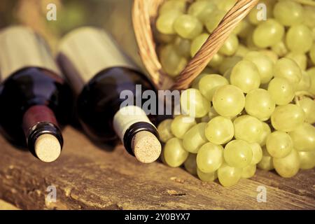 Bouteilles de vin rouge et blanc et bouquet de raisins dans un panier sur une table en bois. Image aux tons rétro Banque D'Images