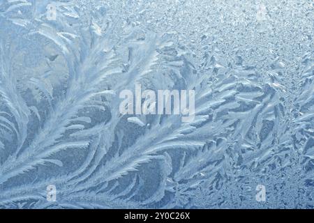 Motif naturel givré sur le pare-brise d'hiver Banque D'Images