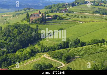 Castello di Barolo La Volta 14 Banque D'Images