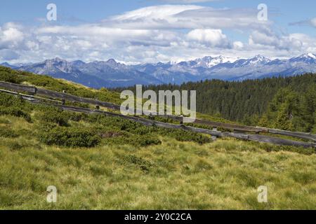 Panorama de montagne avec pâturage de vaches dans le Tyrol du Sud, Italie, Europe Banque D'Images