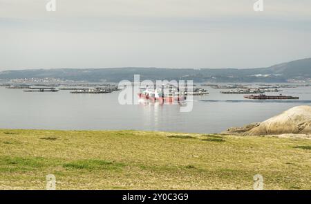 Bateau à moules naviguant entre les lits de moules appelés bateas. Paysage marin. Rias Baixas, Galice, Espagne, Europe Banque D'Images