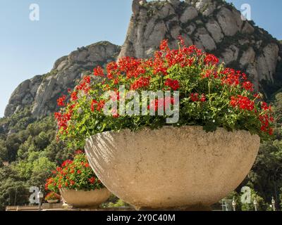 Un pot de fleurs avec des fleurs rouges sur un mur de pierre devant un paysage de montagne, montserrat, espagne Banque D'Images