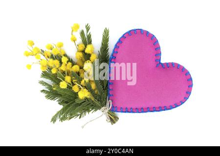 Oreiller rose en forme de coeur à côté de fleurs de mimosa jaunes sur fond blanc, représentation d'un sentiment sincère exprimé à travers le lan Banque D'Images