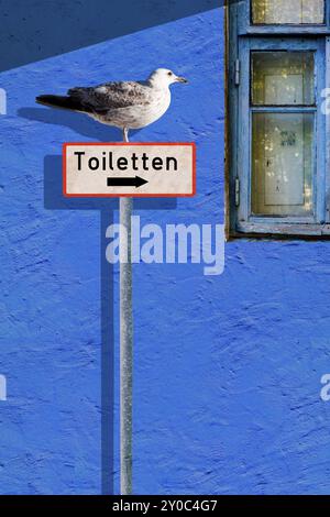 Mouette assise sur un panneau, photomontage Banque D'Images