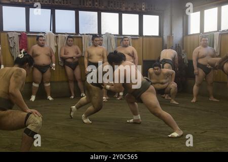 Tokyo, Japon, 21 décembre 2014 : un lutteur de sumo japonais s'entraîne dans son stand dans le district de Ryogoku, en Asie Banque D'Images