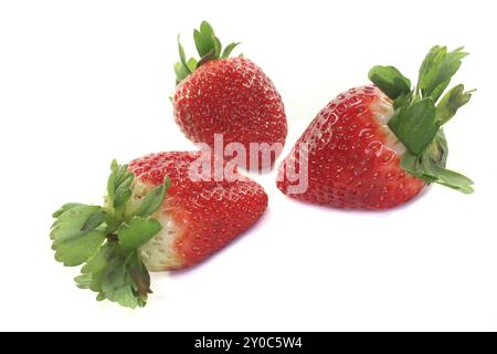 Trois fraises sur fond blanc Banque D'Images