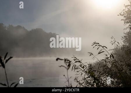 Arbres et brouillard le matin en automne, rivière Banque D'Images