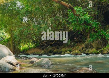 Une rivière avec beaucoup de rochers et d'arbres à Klaten, Java central, Indonésie. L'eau est claire et les arbres sont verts. Banque D'Images