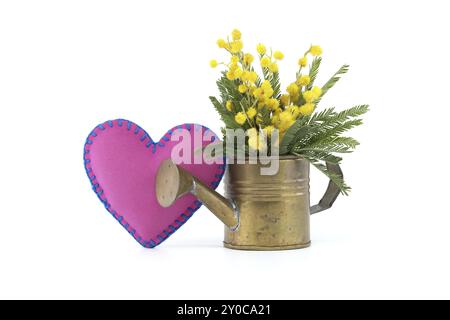 Oreiller rose en forme de coeur avec des fils bleus tissés à travers elle à côté de bouquet de fleurs de mimosa jaunes dans un arrosoir en laiton contre un backgro blanc Banque D'Images