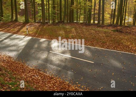 Une route serpente à travers une forêt automnale, les arbres sont couverts de feuilles colorées et les ruisseaux de lumière du soleil à travers les branches, Altenbuch, Miltenberg Banque D'Images