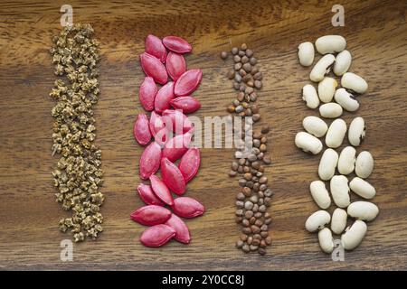 Une photo de studio à plat de quatre graines de légumes différentes. Betteraves, concombre, radis et haricot vert Banque D'Images