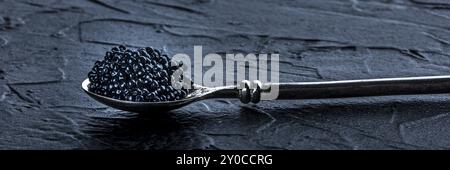 Une cuillère argentée avec panorama de caviar noir sur fond d'ardoise sombre, une bannière panoramique pour un menu festif, photographie culinaire Banque D'Images