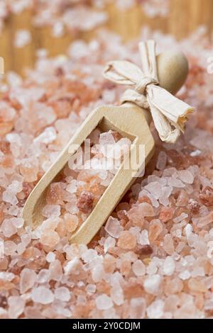 Une image en gros plan d'une petite cuillère en bois sur un tas de sel de mer rose brut de l'Himalaya dans une photo de studio Banque D'Images