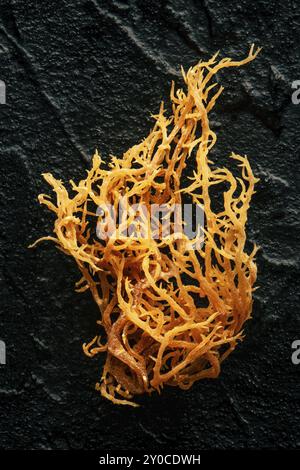 Mousse de mer irlandaise. Chondrus Crispus, algues crues biologiques saines, gros plan sur fond d'ardoise noire, photographie alimentaire, photographie alimentaire Banque D'Images