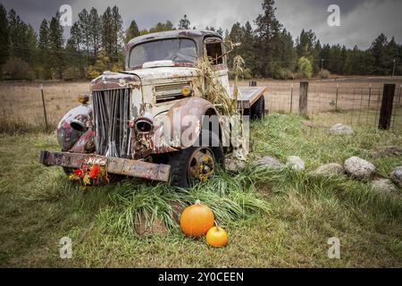 Un camion vintage entouré de citrouilles et de tiges de maïs exposées près de Rathdrum, Idaho Banque D'Images