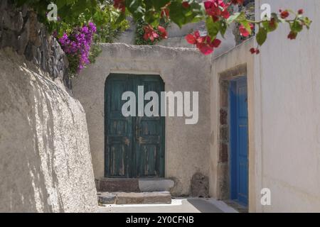 Deux portes colorées dans une ruelle étroite, entourées de plantes à fleurs et de murs blancs, créent une atmosphère méditerranéenne, village Megalochori, Santo Banque D'Images