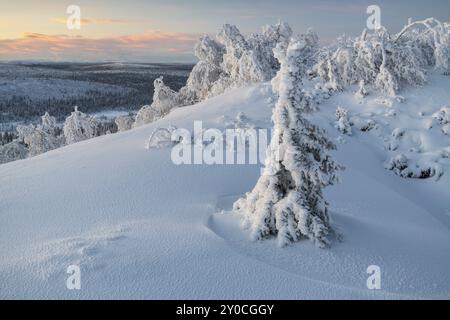 Paysage hivernal, Norrbotten, Laponie, Suède, novembre 2017, Europe Banque D'Images