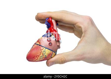 Main courante modèle de cœur entre les doigts isolé sur fond blanc Banque D'Images
