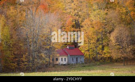 Vieille ferme au Canada sous des arbres colorés Banque D'Images