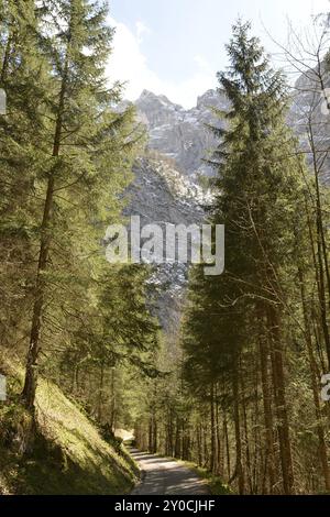 Randonnée au-dessus de Scharitzkehlalm et en dessous de Hoher Goell montagne 2, 522 m (8, 274 ft), Endstal, Berchtesgaden Alpes, Allemagne, Europe Banque D'Images