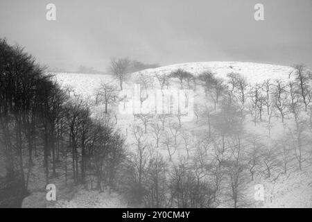 Le Pfaffenberg en hiver avec brouillard Banque D'Images