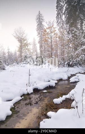 Rivière dans la forêt alpine d'hiver, Bavière, Allemagne, Europe Banque D'Images