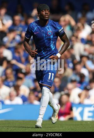Londres, Royaume-Uni. 1er septembre 2024. Noni Madueke de Chelsea lors du match de premier League à Stamford Bridge, Londres. Le crédit photo devrait se lire : Paul Terry/Sportimage crédit : Sportimage Ltd/Alamy Live News Banque D'Images